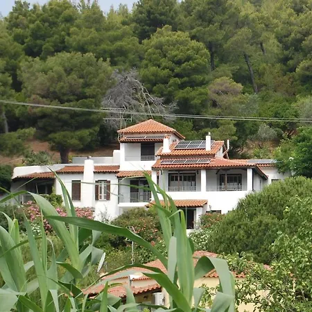 Pine * Τρούλος