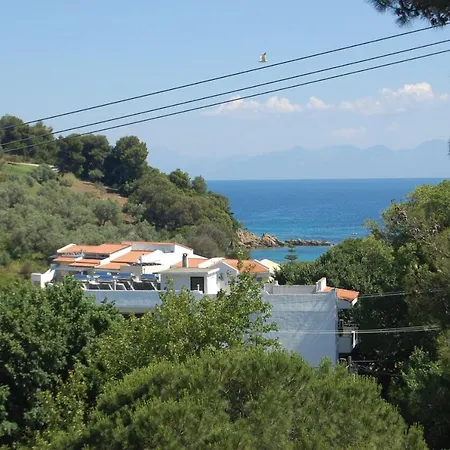 Pine * Τρούλος