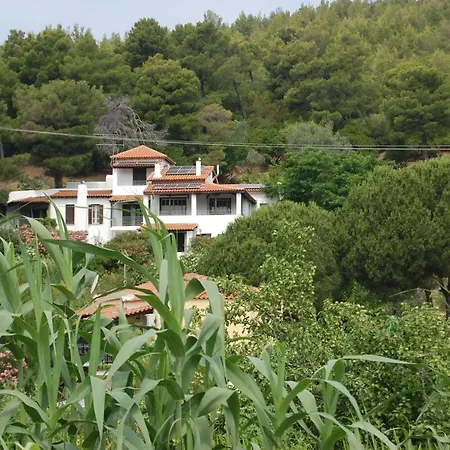 Case de vacanță Pine *