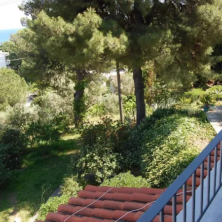 Pine Holiday home